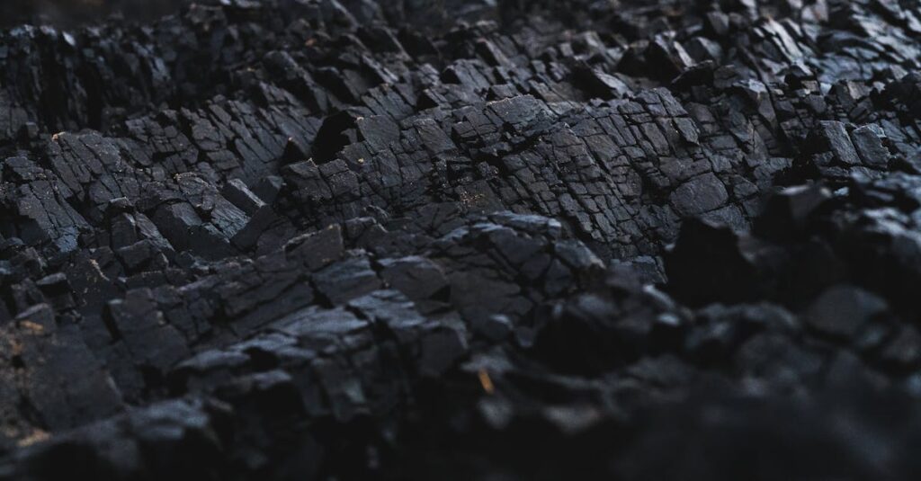 A detailed close-up of dark charcoal texture, showcasing its rough and jagged surface.