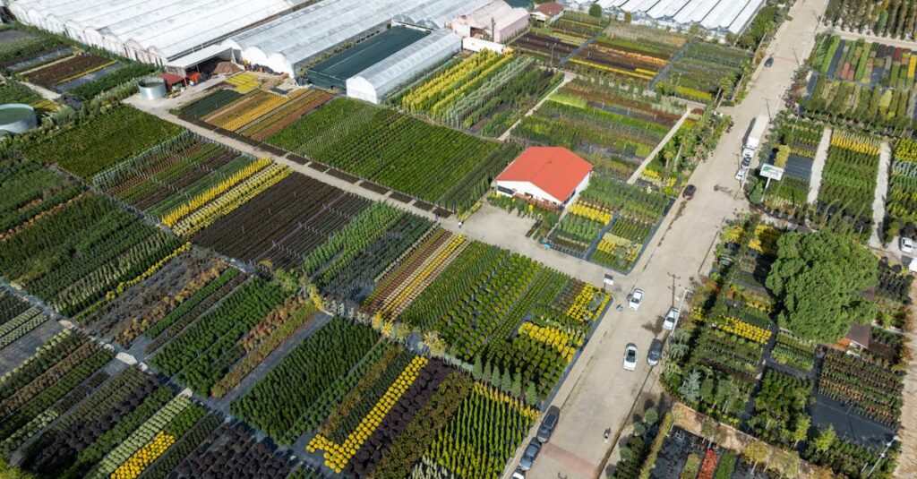 Aerial shot of greenhouses and nurseries, showcasing vibrant agriculture in Yalova, Turkey.
