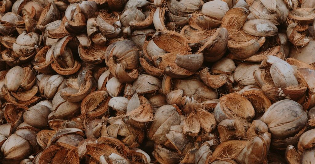 Close-up view of a large pile of dried coconut shells, showcasing a natural texture.